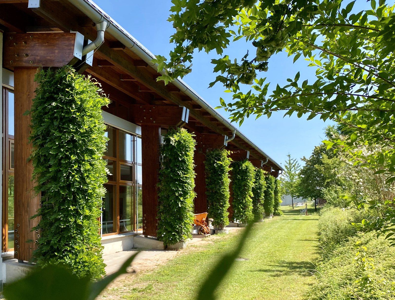 Die Holzfassade des BEYERS AKTIV-PARK mit begrünten Säulen und Wiese an einem Sommertag