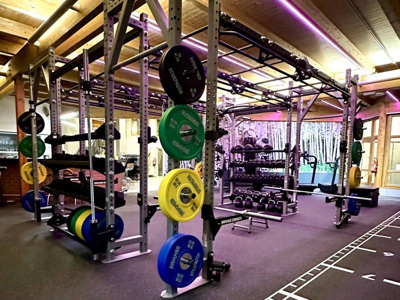 Das Rig in der Hammer Strength Box im Souterrain, Hantelscheiben in Farbe